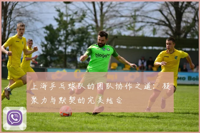 上海乒乓球队的团队协作之道：凝聚力与默契的完美结合