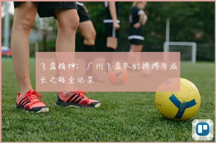 飞盘精神：广州飞盘队的拼搏与成长之路全记录