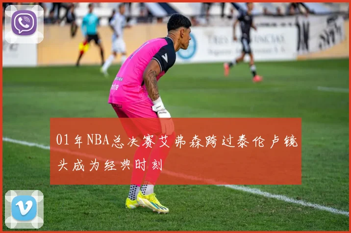 01年NBA总决赛艾弗森跨过泰伦卢镜头成为经典时刻