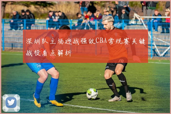 深圳队主场迎战强敌CBA常规赛关键战役看点解析