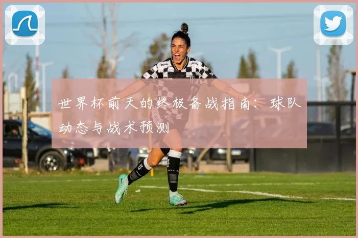 世界杯前天的终极备战指南：球队动态与战术预测