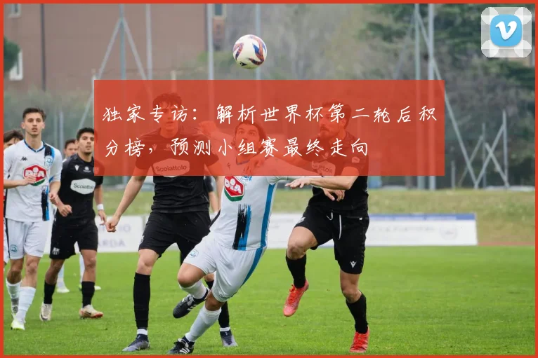 独家专访：解析世界杯第二轮后积分榜，预测小组赛最终走向