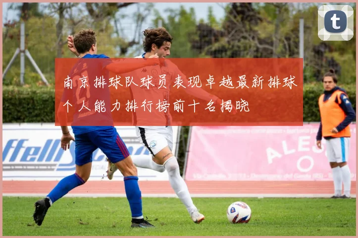 南京排球队球员表现卓越最新排球个人能力排行榜前十名揭晓