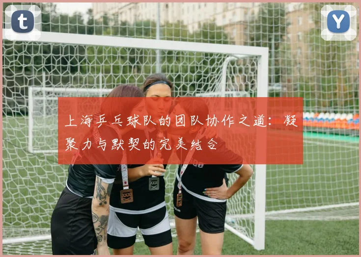 上海乒乓球队的团队协作之道：凝聚力与默契的完美结合